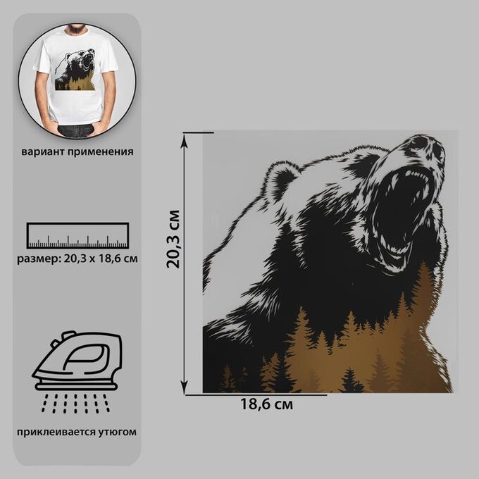 Термотрансфер «Дикий медведь», 18,6*20,3 см