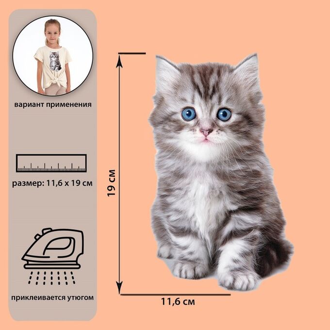 Термотрансфер «Котёнок», 11,6*19 см
