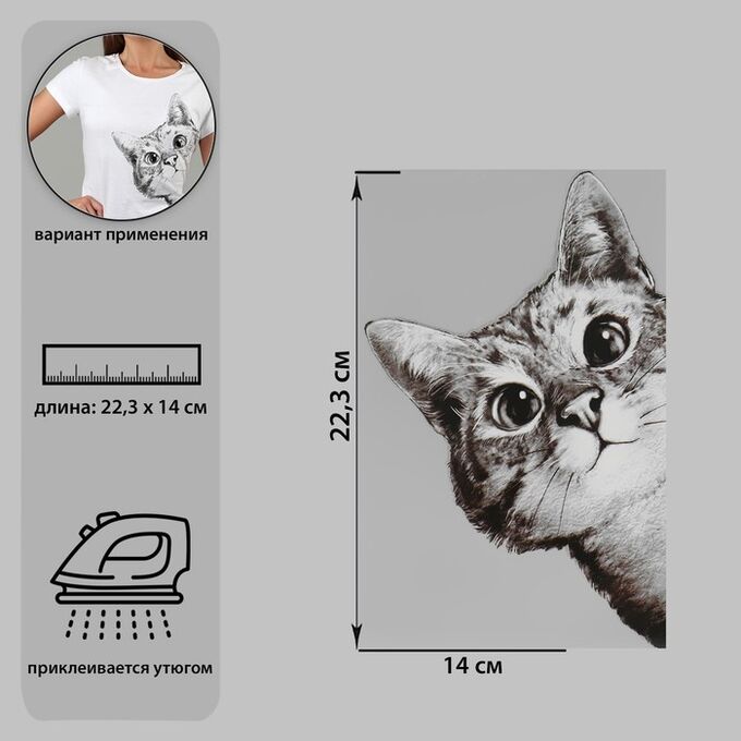 Термотрансфер «Любопытный кот», 14*22,3 см